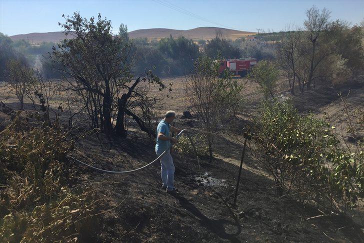 Elazığ'da yangın nedeniyle buğday tarlası, meyve ağaçları ve üzüm bağları zarar gördü G3
