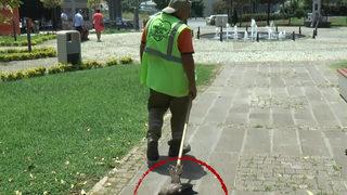 Temizlik görevlisi ile Şeyhmus adındaki karganın şaşkına çeviren dostluğu: Müzik dinlemeyi çok sever