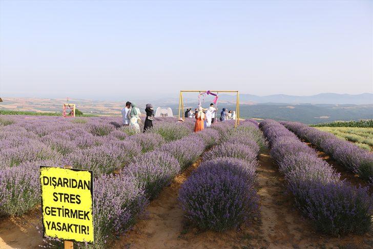 Tekirdağ'daki lavanta tarlaları fotoğrafseverleri ağırlıyor G2