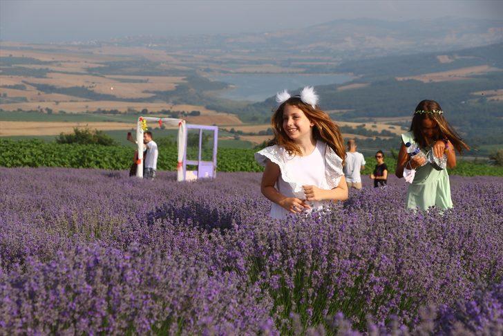 Tekirdağ'daki lavanta tarlaları fotoğrafseverleri ağırlıyor G3