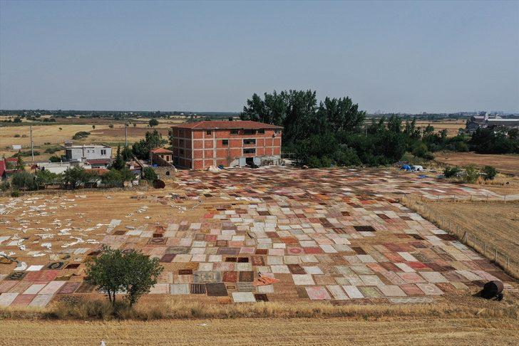 Antalya'nın "halı tarlaları"nda renkli telaş başladı G1
