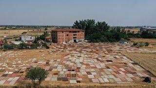 Antalya'nın halı tarlalarında renkli telaş başladı