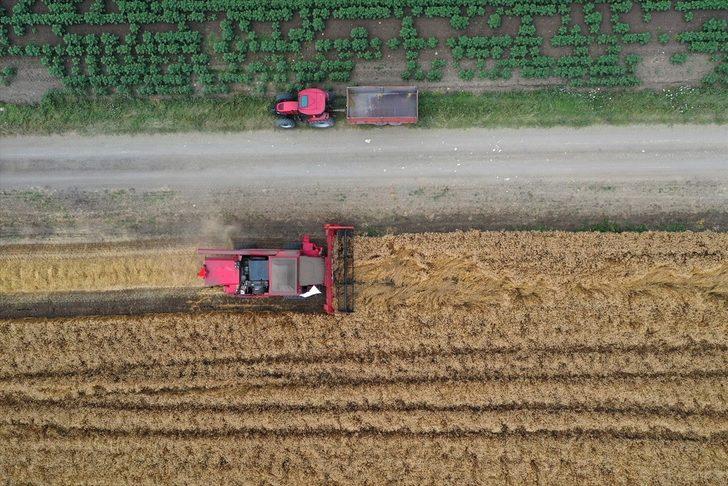 Balıkesir'de "Tarla Günü" etkinliğinde ürünler hasat edilmeye başlandı G1