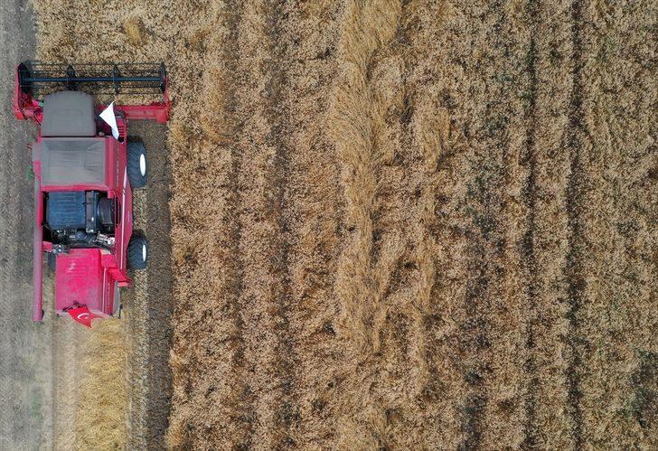 Balıkesir'de "Tarla Günü" etkinliğinde ürünler hasat edilmeye başlandı G2