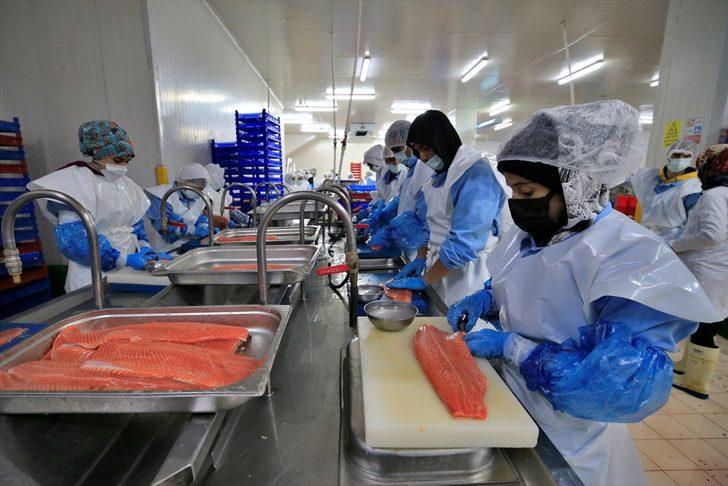 Başta Rusya ve ABD sırada! Türk somonu, lezzetiyle 30 ülkeden talep görüyor G1