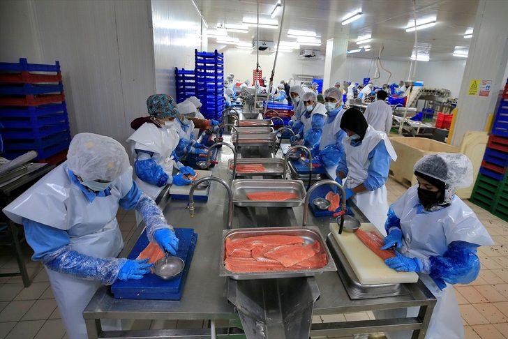 Başta Rusya ve ABD sırada! Türk somonu, lezzetiyle 30 ülkeden talep görüyor G2