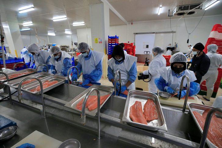 Başta Rusya ve ABD sırada! Türk somonu, lezzetiyle 30 ülkeden talep görüyor G3