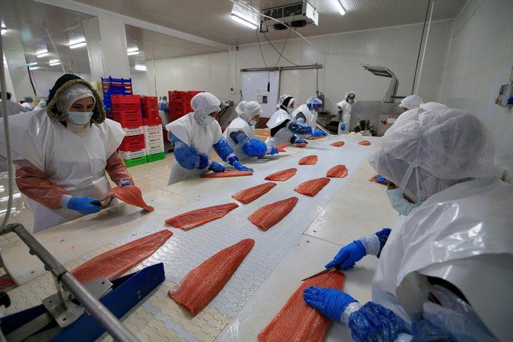 Başta Rusya ve ABD sırada! Türk somonu, lezzetiyle 30 ülkeden talep görüyor G4