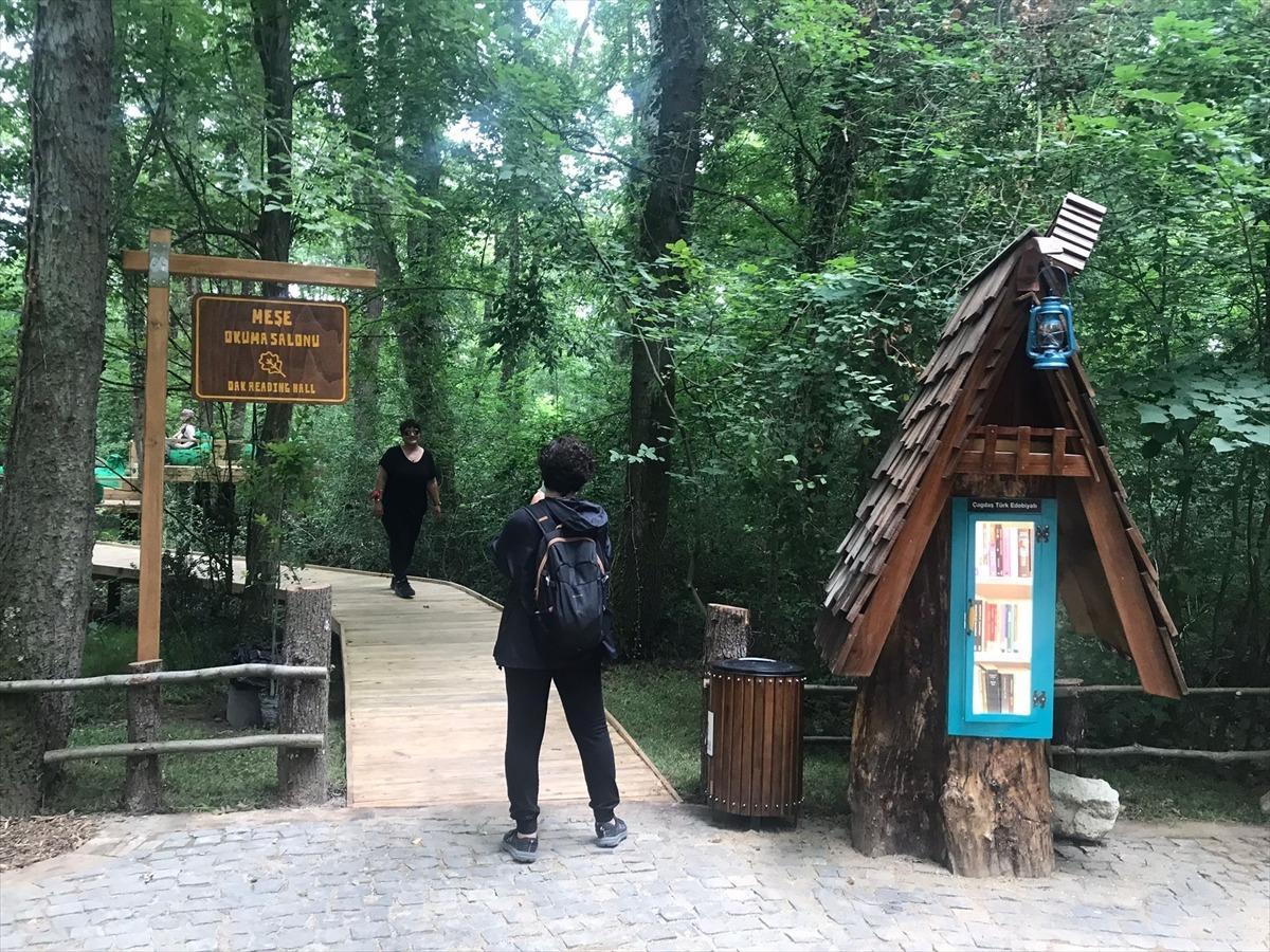 Doğal yaşam parkı Ormanya'da "Orman K&uuml;t&uuml;phanesi" kuruldu