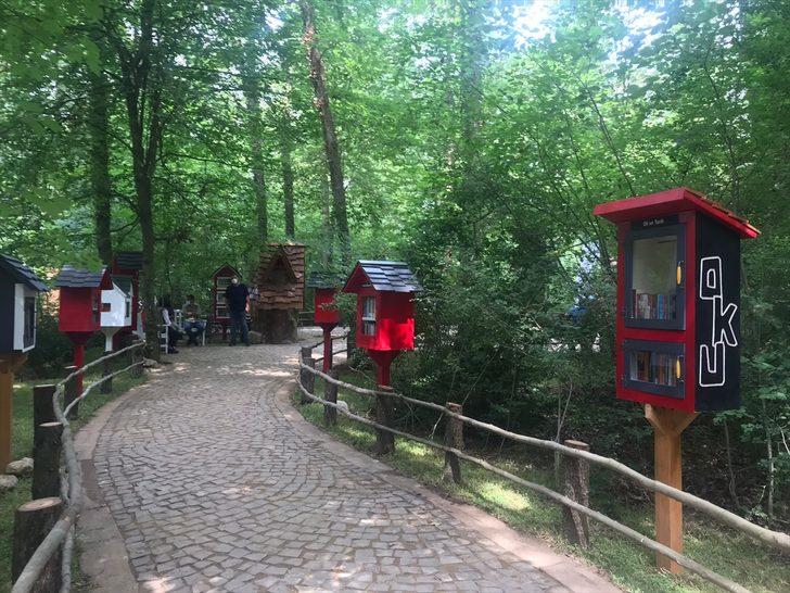 Doğal yaşam parkı Ormanya'da "Orman Kütüphanesi" kuruldu G4