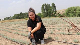 Bankacılığı bırakıp ölmez otu yetiştirmeye başladı: Tanesini 1 liradan satıyor
