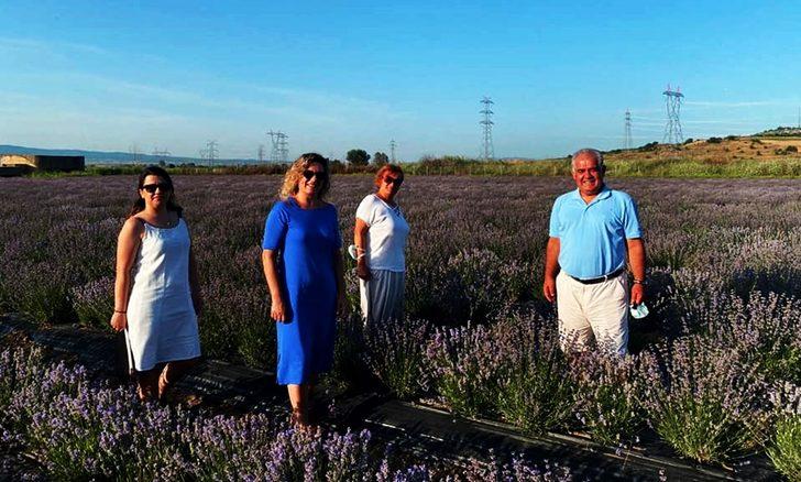 Çanakkale'de "Lavantalı Tarla Günleri" etkinliği düzenlendi G1