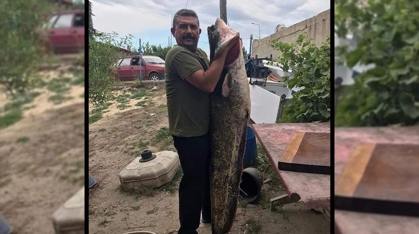 Güçlükle kıyıya çıkardı! Boyu kadar yayın balığı tuttu