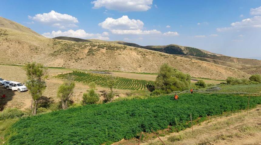 İçişleri Bakanlığı duyurdu! Terör örgütüne ağır darbe