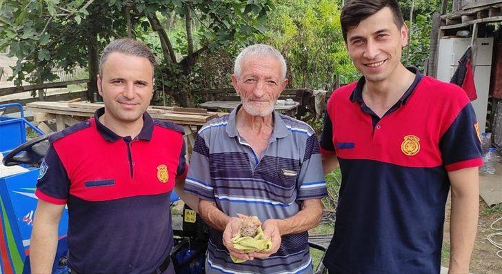 Ordu'da kafası demir boruya sıkışan yavru kedi kurtarıldı G2