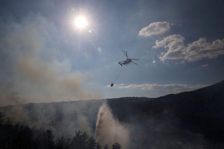GÜNCELLEME 2 - Aydın'da zeytinlik ve ormanlık alanda çıkan yangın kontrol altına alındı G1
