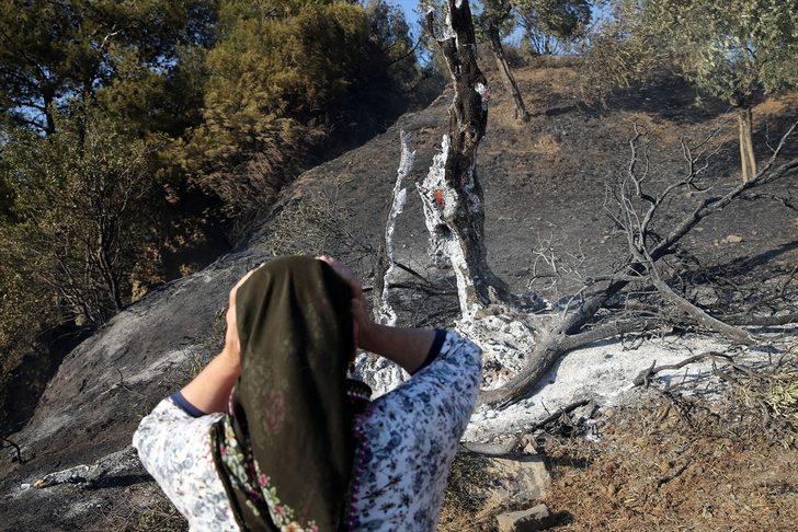 GÜNCELLEME 2 - Aydın'da zeytinlik ve ormanlık alanda çıkan yangın kontrol altına alındı G4