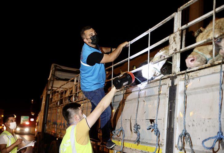 Kurbanlık hayvanların İstanbul'a girişi başladı G2