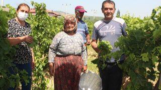 Fiyatı 2 ile 5 lira arasında değişiyor! Üreticiler: Para kazanamıyoruz