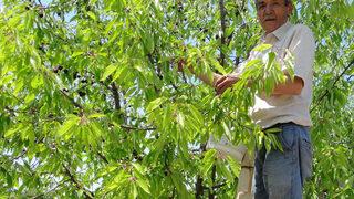 Üretici de şaşkın! Yerinde 5, büyük marketlerde 20 lira