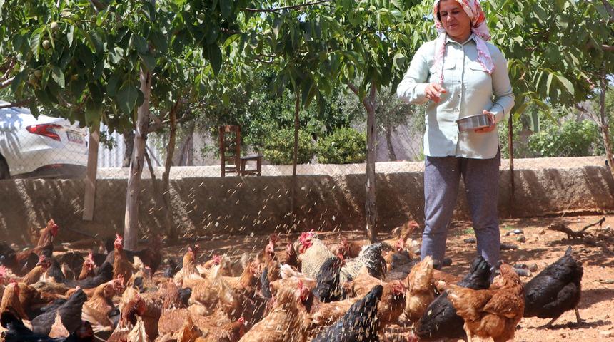 20 bin liraya mal oluyordu, 110 tavuğunu satışa çıkardı! ''Mal varlığım yok diye hayata küsmedim''
