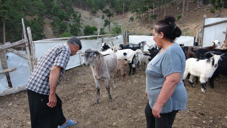 Adanalı Azeri gelin beğeni topluyor! ''Kıskananlar çatlasın, herkes onun gibi olsa Türkiye'nin sırtını kimse bükemez'' G3
