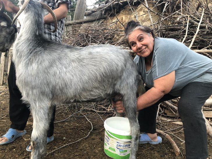 Adanalı Azeri gelin beğeni topluyor! ''Kıskananlar çatlasın, herkes onun gibi olsa Türkiye'nin sırtını kimse bükemez'' G5