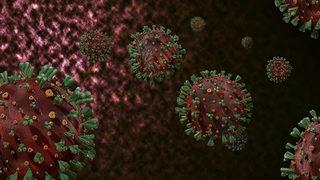 Son Dakika: Delta Plus Türkiye'de! (Delta Plus hangi illerde görüldü?)