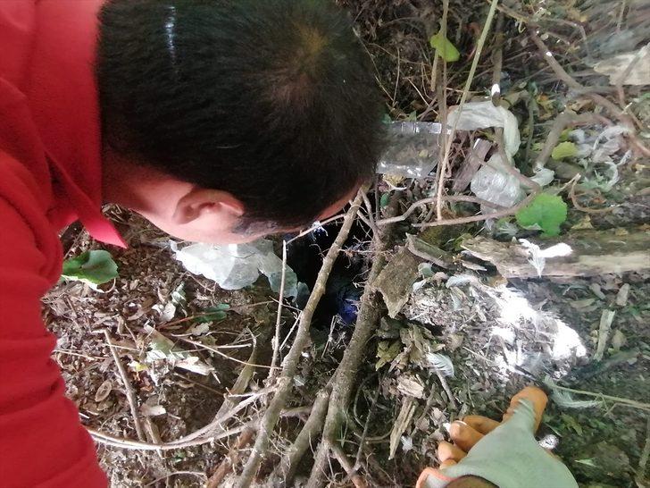 Erzincan'da itfaiye ekipleri boş kuyuya düşen yavru köpekler için seferber oldu G1