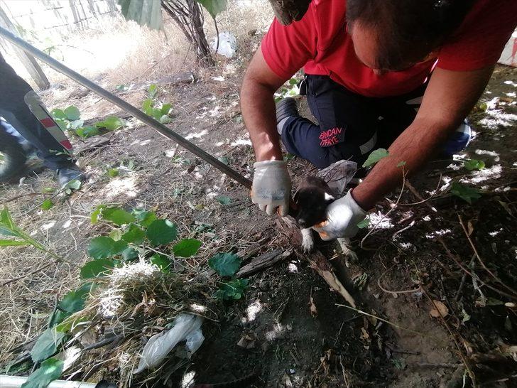 Erzincan'da itfaiye ekipleri boş kuyuya düşen yavru köpekler için seferber oldu G3