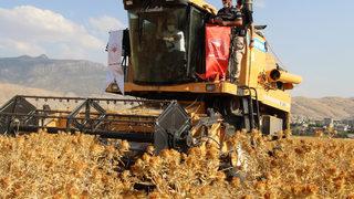 Şırnak’ta ilk defa ekilen aspirin hasadı yapıldı