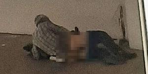 Köpeğe tecavüz ederken yakalandı, serbest bırakıldı!