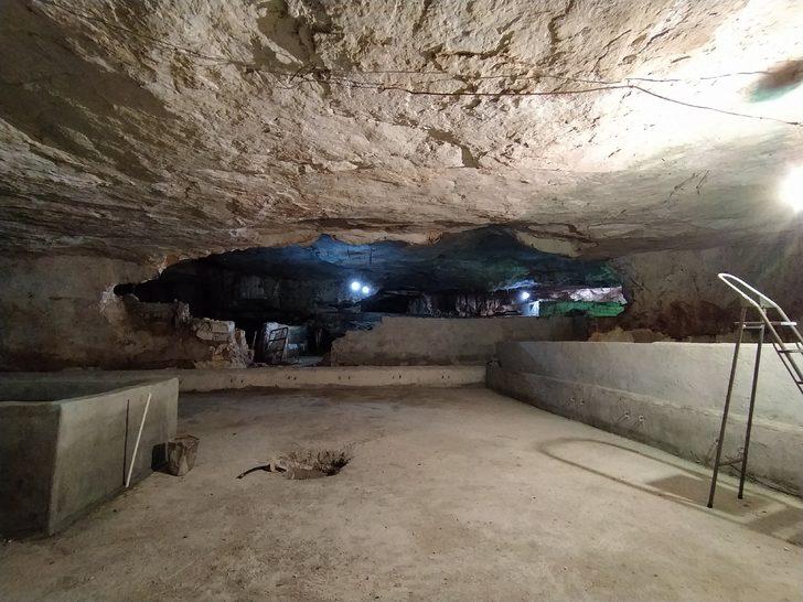 Önceden çilehaneydi şimdi ahır oldu! 20 derecelik mağaralarda besleniyorlar G5