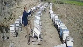 Ankara'da kızına yapılan zoruna gitti, damadının arı kovanlarını parçaladı