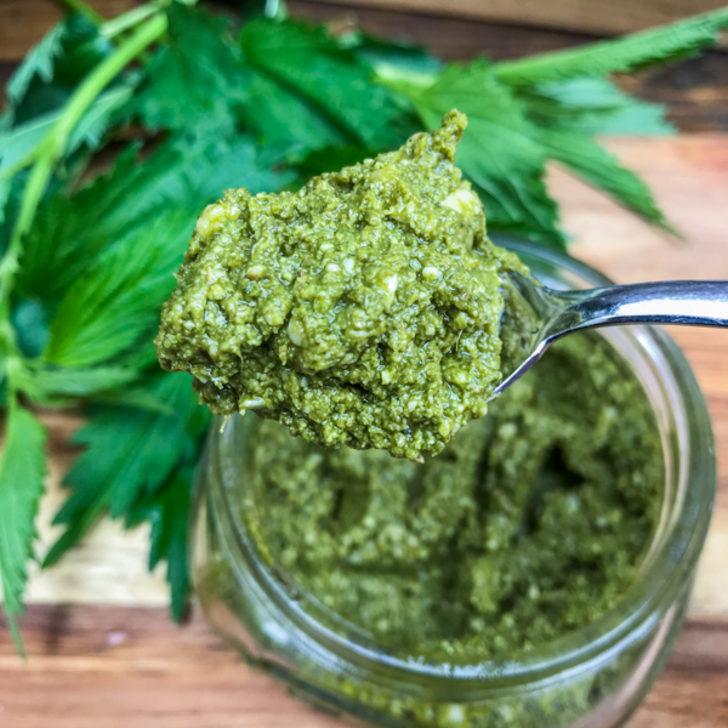 MasterChef Isırgan Otlu Pesto sos nasıl yapılır? İşte Isırgan Otlu Pesto'nun malzeme listesi G5