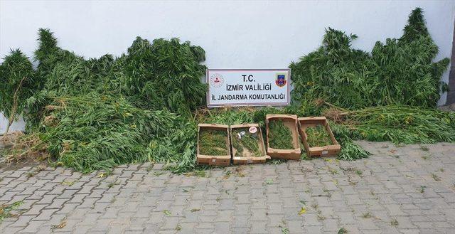 İzmir'de düzenlenen uyuşturucu operasyonunda 12 zanlı yakalandı 