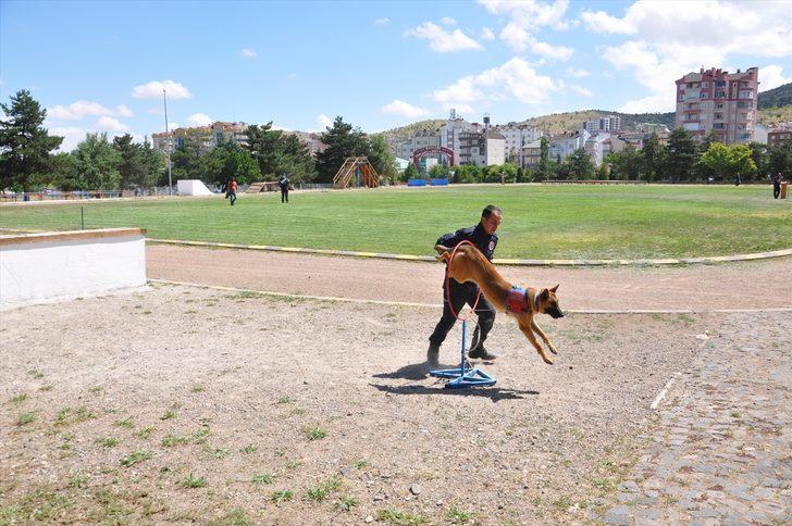 Nevşehir JAKEM Komutanlığında eğitilen köpekler yarıştı G2