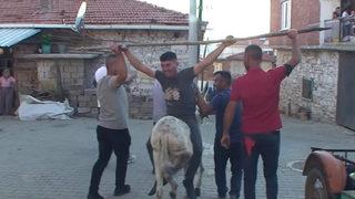 Düğüne geç kalan müzisyene ilginç ceza! Eşeğe ters bindirip, sopaya bağladılar