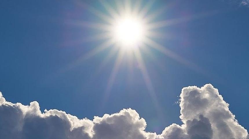 Kanada’daki aşırı sıcaklar, yüz milyonlarca deniz canlısının ölümüne neden oldu