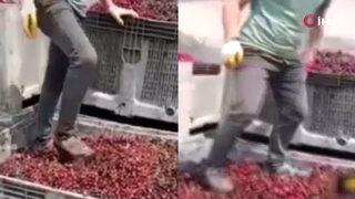 Meyve suyu tesisi ürün toplama merkezinde mide bulandıran görüntüler