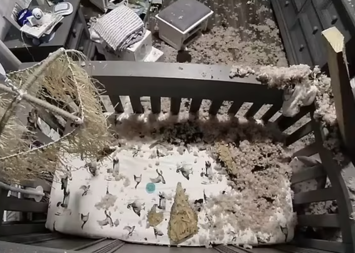 ABD'de korkunç olay! Beş aylık bebeğin üzerine düşen moloz yığınları neredeyse öldürüyordu G3