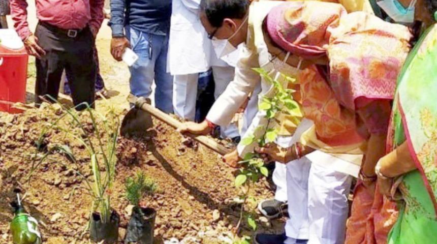 Hindistan'da 6 bin kişinin küllerinden park yapıldı
