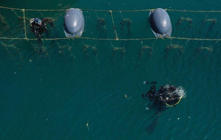 Midye üretiminde gıda güvenliği haftalık analizlerle sağlanıyor G5