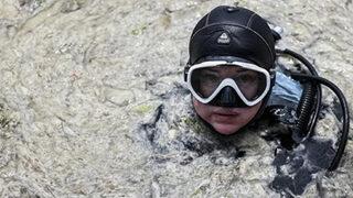 Marmara'nın müsilaj sorununa çözüm için YÖK, burslu doktoralı bilim insanları yetiştirecek