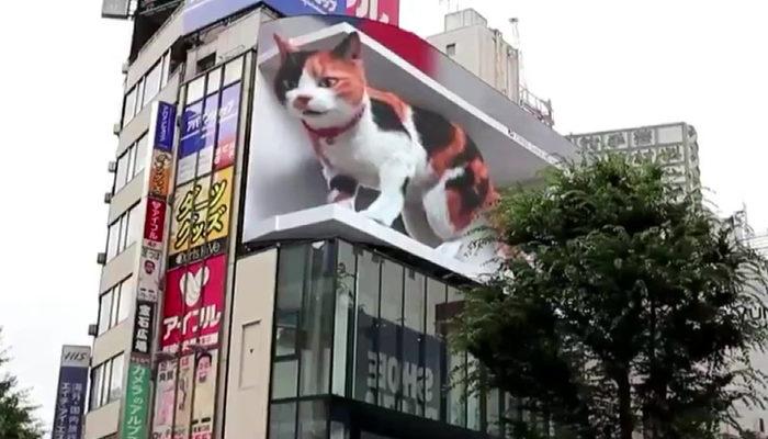 Yoğun ilgi gördü! Tokyo’daki 3 boyutlu dev kedi gerçeğini aratmıyor