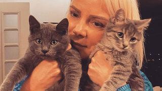 Ömür Gedik isyan etti! Hayvana yapılan şey 'cinsel ilişki' değil tecavüz