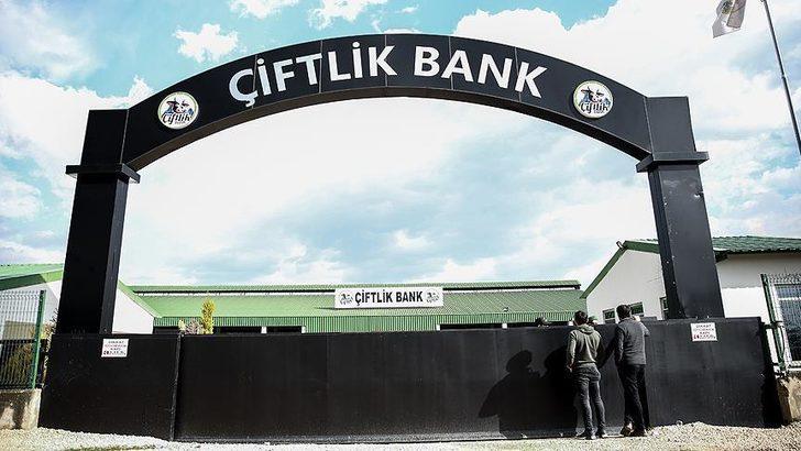 Çiftlik Bank mağdurları paralarını nasıl geri alır? Çiftlik Bank mağdurları paralarını geri alabilecek mi? G5