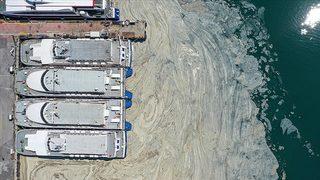 Av yasağı ne zaman bitiyor? Marmara Denizi balığı yenir mi?