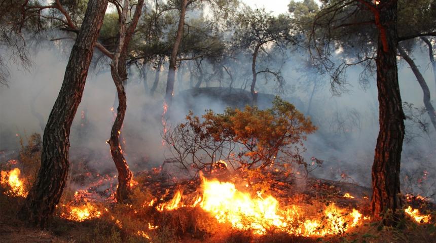 Foça’daki yangın saatler sonra kontrol altına alındı