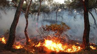 Foça’daki yangın saatler sonra kontrol altına alındı